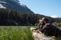 Pack Creek Brown Bear Viewing Juneau 