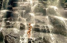 Ubud Full Day - Monkey Forest, Temple and Waterfalls Tour 