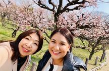 PRIVATE 6hr, Food tour from Osaka Castle, Kuromon, Dotonbori. 