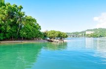 Whale Watching, Cayo Levantado & Limon Waterfall from Punta Cana