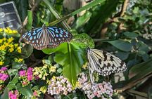 Kanazawa Temples Panoramic Landscape Views and Butterflies