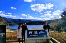 Mt. Fuji Aokigahara Jukai Forest Private Tour with Licensed Guide