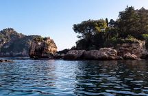 2 Hour Sunset Dolphin Watching Shared Tour in luxury boat