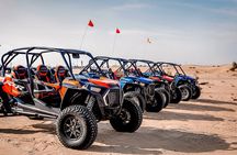 Morning Dune Buggy Experience In Abu Dhabi