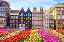 Amsterdam Historic Center Walking Tour With A Guide