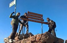 Full Day Tour to Mount Kenya