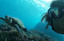 Isla del Caño snorkel tour from Drake Bay (Cano island) 
