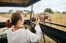 7-Day Tanzania Private Luxury Safari, Culture & Night Game Drive