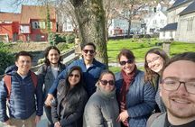 2 Hour Private Guided Walking Tour of Bergen