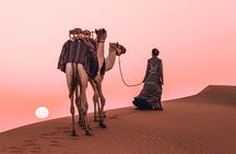 Dubai Red Dune Safari with Camel Ride, Sandboarding & BBQ Dinner