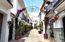 Estepona Private Walking Tour