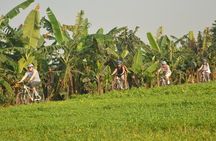 Hanoi Countryside By Bike & Local House and Food Tasting