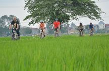 Hanoi Countryside By Bike & Local House and Food Tasting