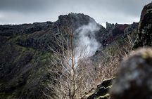 Pompeii and Vesuvius Small Group Tour from Sorrento with Pizza