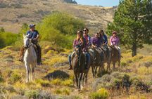 Bariloche Horseback Riding & Traditional Argentine Barbecue Tour