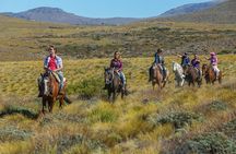 Bariloche Horseback Riding & Traditional Argentine Barbecue Tour