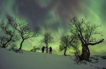 A Quest to find the Northern Lights, Tromsø (small group size)