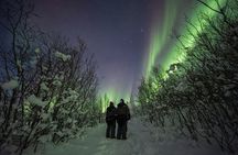 A Quest to find the Northern Lights, Tromsø (small group size)