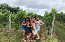 Full Day Private Long Island Wine Tours from New York City