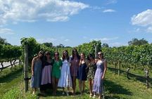Full Day Private Long Island Wine Tours from New York City