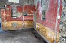 From Sorrento: Pompeii guided tour & wine tasting All Inclusive