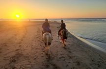 Horseback Riding in Tamarindo Beach