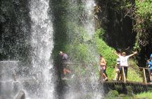 Huilo Huilo Reserve Tour from Valdivia with Lunch