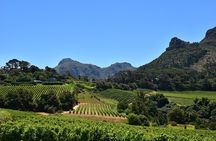 Exclusive Constantia: Private Tour of Cape Town's Wine Country