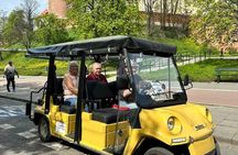 City Tour Golf Car ! Private full tour - we drive for 2 hours .