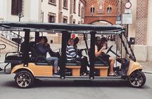 City Tour Golf Car ! Private full tour - we drive for 2 hours .