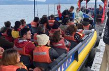 Huilo Huilo Hot Springs Tour from Valdivia with Lunch