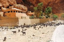 8 days Moroccan desert from Casablanca to Marrakech 