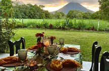 6 Course Tropical Rainforest Foodie Adventure
