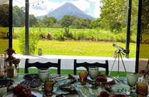 6 Course Tropical Rainforest Foodie Adventure