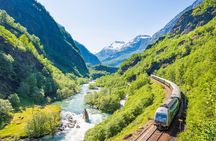 Guided tour - Viking Village, Nærøyfjord Cruise and Flåm Railway 