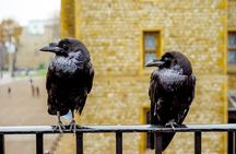 Tower of London Tickets and Jack the Ripper Ghost Tour