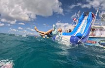 Waikiki Coral Reef Snorkel & Waterslide Adventure