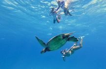 Waikiki Coral Reef Snorkel & Waterslide Adventure