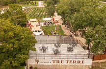 Taste of Istria - wine, brandy, vinegar, local food