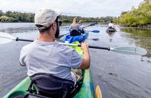 Noosa Sightseeing Adventure - Ferry Cruise, Ride and Kayak