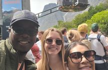 Shared Half-Day Cape Town City Tour