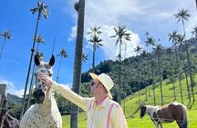 Private Tour to Cocora Valley and Salento with Transportation Included