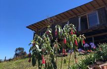 Private Day of Immersion in Country Life with Food