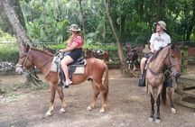 Horseback Riding and Snorkeling at West Bay Beach Private Tour