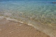 Horseback Riding and Snorkeling at West Bay Beach Private Tour