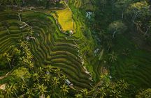 Best Ubud Highlights - Private Day Tour