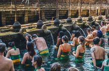 Best Ubud Highlights - Private Day Tour