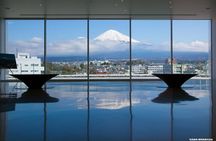 Feel Mt Fuji and Sake Tasting Private Tour from in Shizuoka