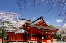 Feel Mt Fuji and Sake Tasting Private Tour from in Shizuoka