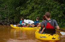 Uvita: Marino Ballena National Park Mangroves - Sea Kayaking 
